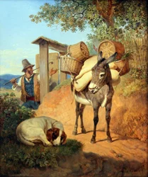 Burro, perro y conductor